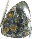 M�t�orite Pallasite