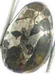 M�t�orite Pallasite