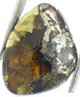 M�t�orite Pallasite