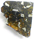 M�t�orite Pallasite