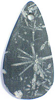 Pierre de Chrysanth�me