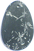 Pierre de Chrysanth�me