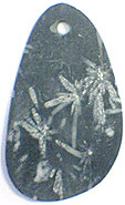 Pierre de Chrysanth�me