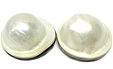 Perle Blister