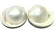 Perle Blister