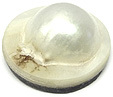 Perle Blister