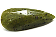 Peridotite