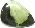 Pr�hnite Bicolore