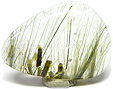 Quartz � double inclusions