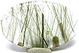 Quartz � double inclusions