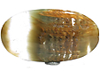 Quartz � Actinolite