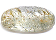 Quartz à Actinolite Quartz à Actinolite