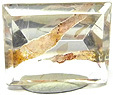Quartz � Biotite