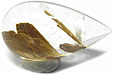 Quartz � Brookite
