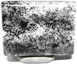 Quartz � Chlorite