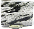 Quartz � Chlorite