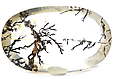 Quartz Dendritique