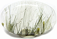 Quartz � double inclusions