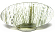 Quartz � double inclusions