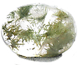 Quartz � Hedenbergite