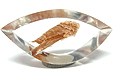 Quartz � Lithiophilite