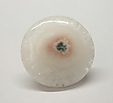 Quartz Solaire