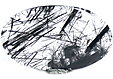 Quartz � Tourmaline