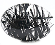 Quartz à Tourmaline Quartz à Tourmaline