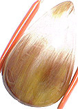 Quartz Bicolore