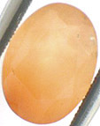 Quartz Sag�nitique