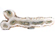Quartz Stalactitique