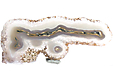 Quartz Stalactitique