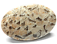 Quartz & Feldspath