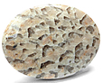 Quartz & Feldspath