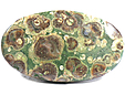 Rhyolite