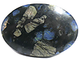 Rhyolite Que Sera Rhyolite Que Sera