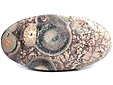 Rhyolite �il d'Oiseau