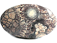Rhyolite �il d'Oiseau