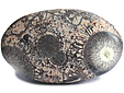Rhyolite �il d'Oiseau
