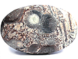 Rhyolite �il d'Oiseau