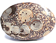 Rhyolite �il d'Oiseau