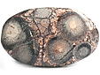 Rhyolite �il d'Oiseau