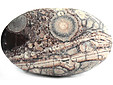 Rhyolite �il d'Oiseau