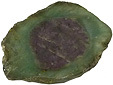 Rubis-Muscovite