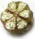 Sakura Ishi ou Cerasite