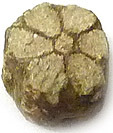 Sakura Ishi ou Cerasite