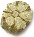 Sakura Ishi ou Cerasite