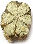 Sakura Ishi ou Cerasite