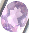 Scapolite Violette