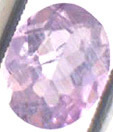 Scapolite Violette